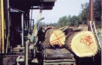 Barve za ozna�evanje lesa in gozdnih povr�in