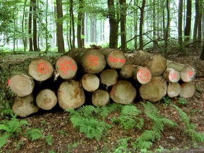 Markirni sprej SOPPEC ozna�evanje lesa